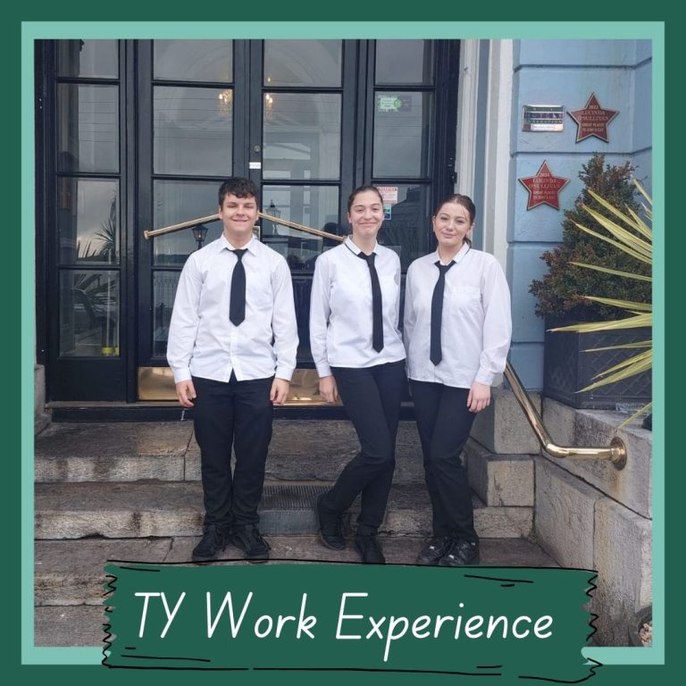 TY Work Experience 